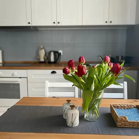 Nadmorski Apartament Z Duzym Tarasem, Przy Plazy غدانسك